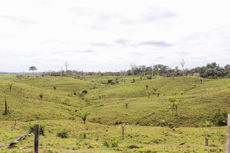Destruction of Amazon rainforest surrounding the Boiling River site, via Andres Ruzo